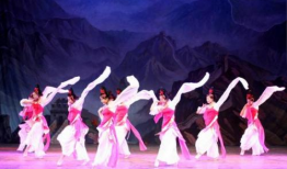 少儿舞蹈视频,少儿舞蹈视频魅力瞬间回顾